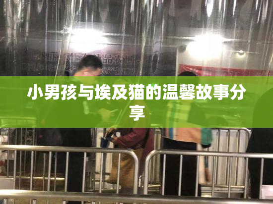 小男孩与埃及猫的温馨故事分享