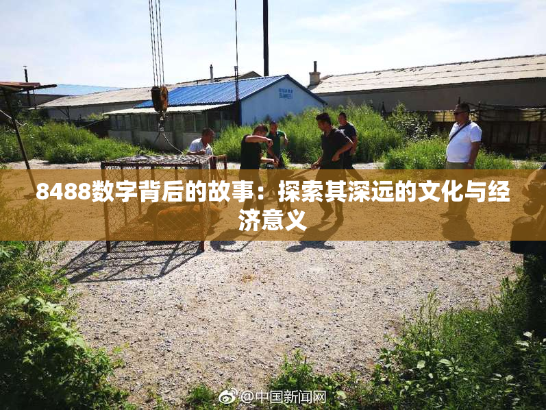 8488数字背后的故事：探索其深远的文化与经济意义