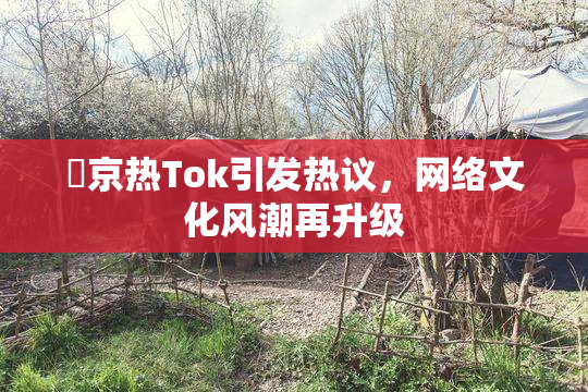 東京热Tok引发热议，网络文化风潮再升级