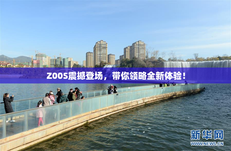 Z00S震撼登场，带你领略全新体验！