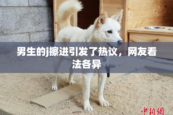 男生的j擦进引发了热议，网友看法各异