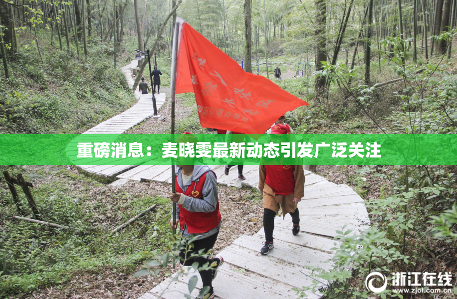 重磅消息：麦晓雯最新动态引发广泛关注