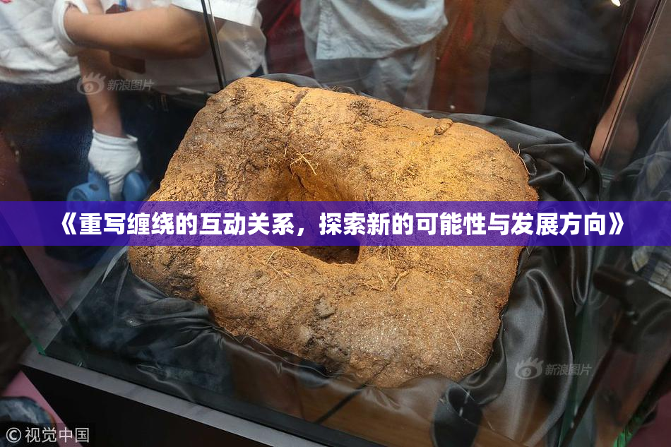 《重写缠绕的互动关系，探索新的可能性与发展方向》