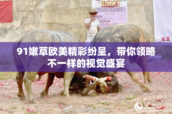 91嫩草欧美精彩纷呈，带你领略不一样的视觉盛宴