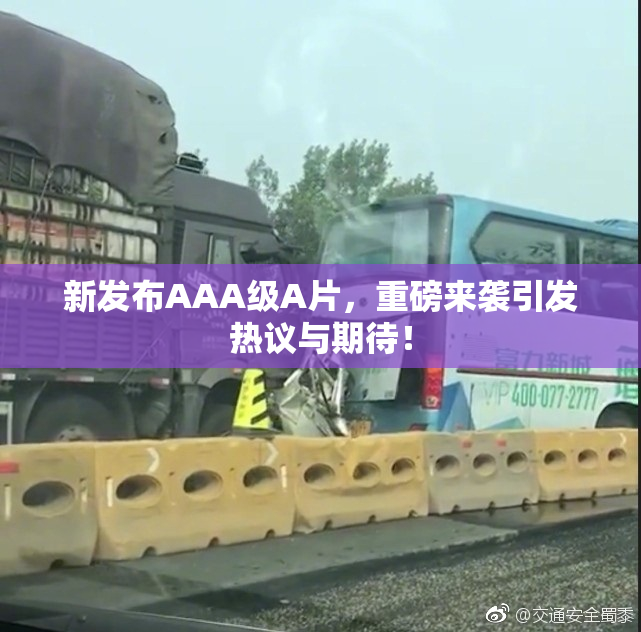 新发布AAA级A片，重磅来袭引发热议与期待！