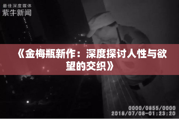 《金梅瓶新作：深度探讨人性与欲望的交织》