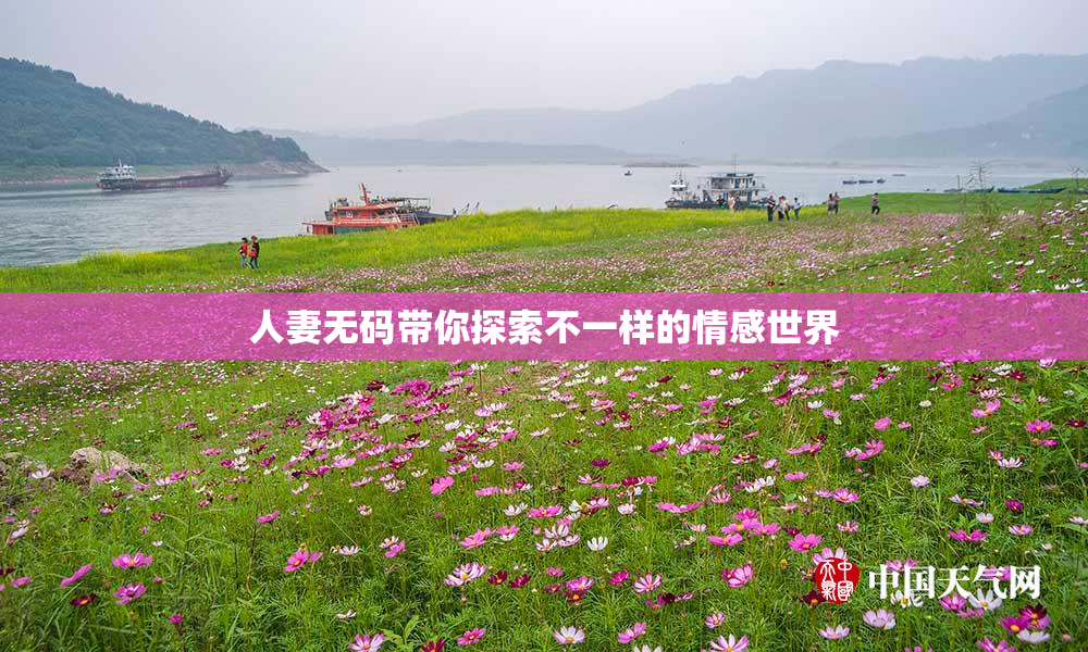 人妻无码带你探索不一样的情感世界