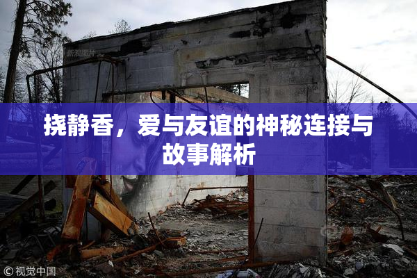 挠静香，爱与友谊的神秘连接与故事解析
