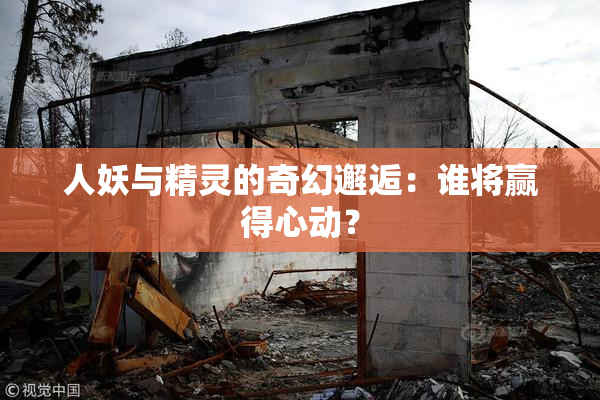 人妖与精灵的奇幻邂逅：谁将赢得心动？