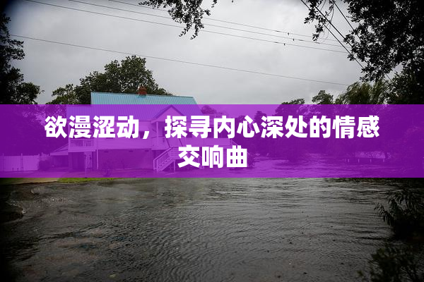 欲漫涩动，探寻内心深处的情感交响曲