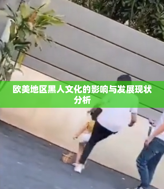 欧美地区黑人文化的影响与发展现状分析