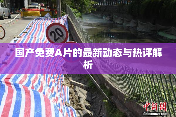 国产免费A片的最新动态与热评解析