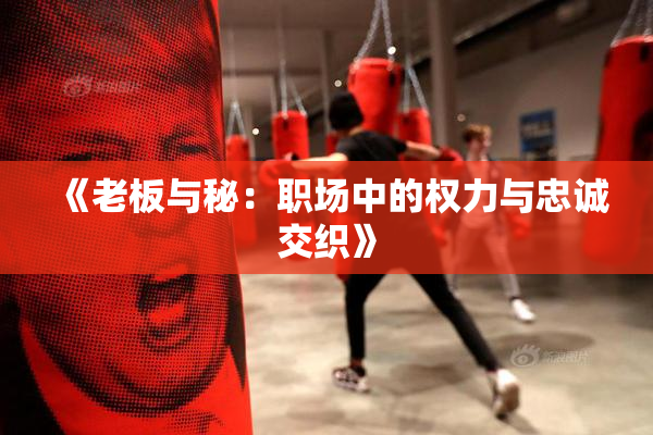 《老板与秘：职场中的权力与忠诚交织》