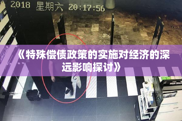 《特殊偿债政策的实施对经济的深远影响探讨》