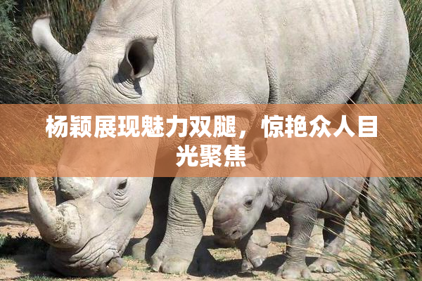 杨颖展现魅力双腿，惊艳众人目光聚焦