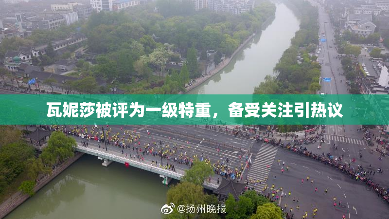 瓦妮莎被评为一级特重，备受关注引热议