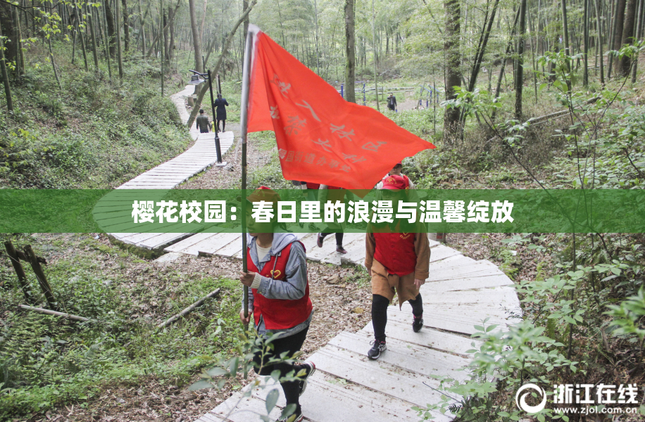 樱花校园：春日里的浪漫与温馨绽放