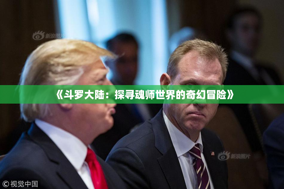 《斗罗大陆：探寻魂师世界的奇幻冒险》