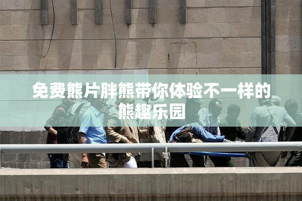 免费熊片胖熊带你体验不一样的熊趣乐园