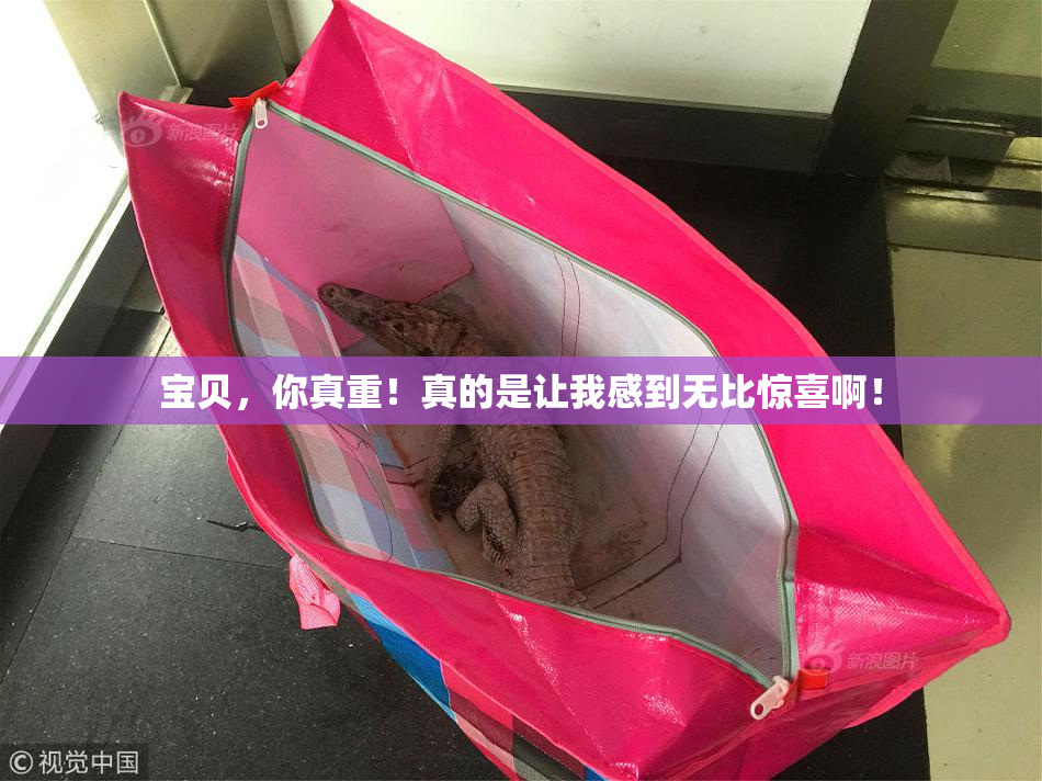 宝贝，你真重！真的是让我感到无比惊喜啊！