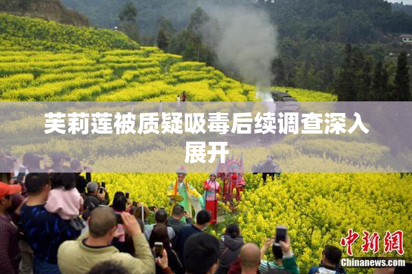 芙莉莲被质疑吸毒后续调查深入展开