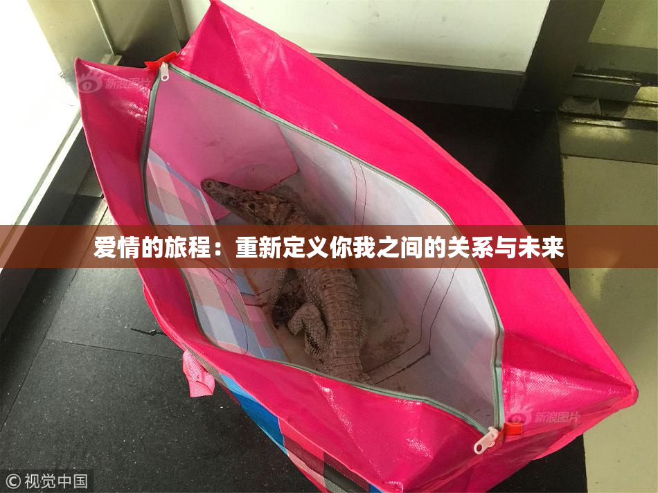 爱情的旅程：重新定义你我之间的关系与未来