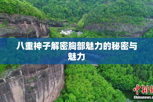 八重神子解密胸部魅力的秘密与魅力