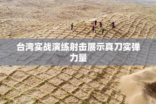 台湾实战演练射击展示真刀实弹力量