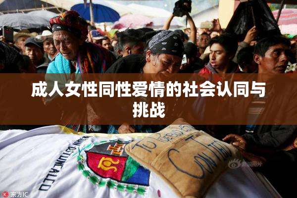 成人女性同性爱情的社会认同与挑战