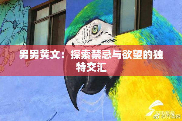 男男黄文：探索禁忌与欲望的独特交汇