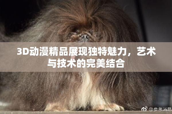 3D动漫精品展现独特魅力，艺术与技术的完美结合