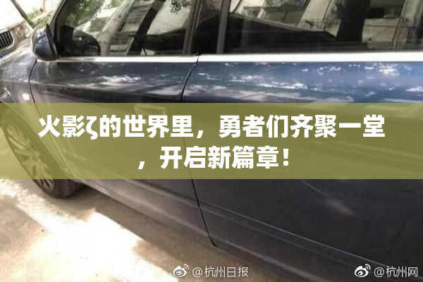 火影ζ的世界里，勇者们齐聚一堂，开启新篇章！
