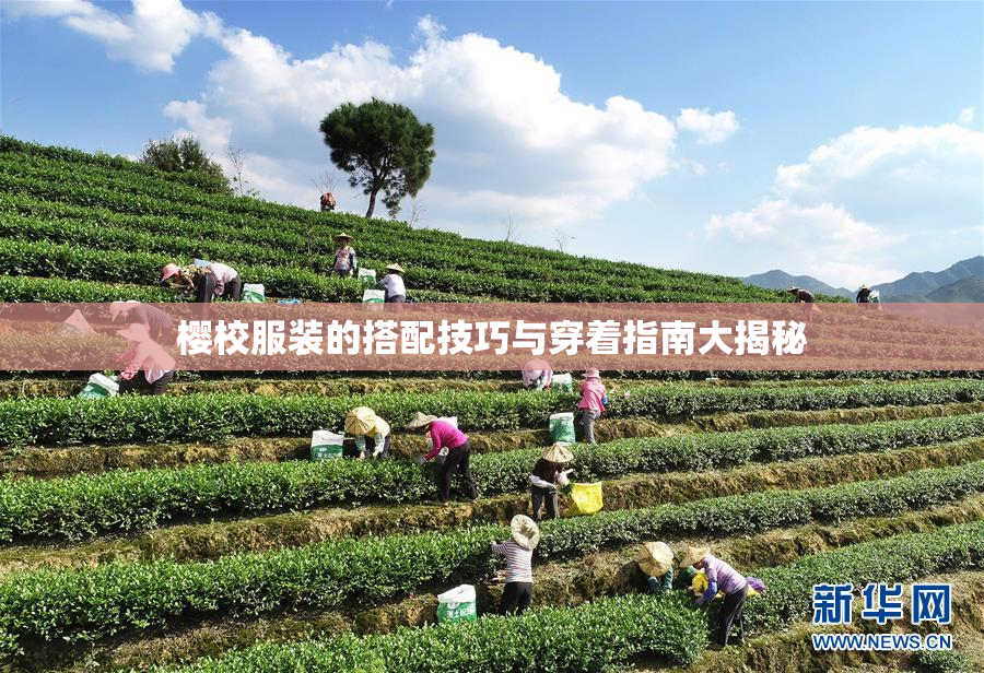 樱校服装的搭配技巧与穿着指南大揭秘
