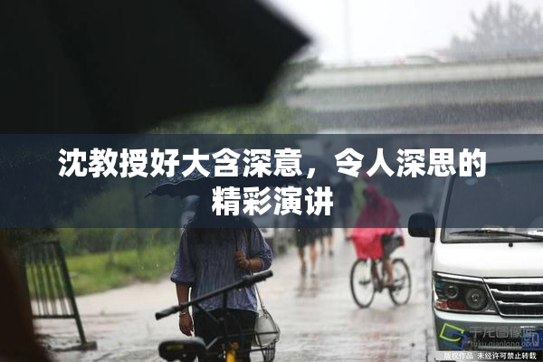 沈教授好大含深意，令人深思的精彩演讲