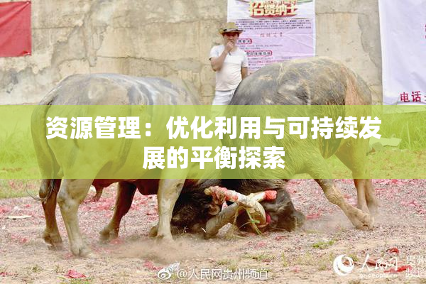 资源管理：优化利用与可持续发展的平衡探索