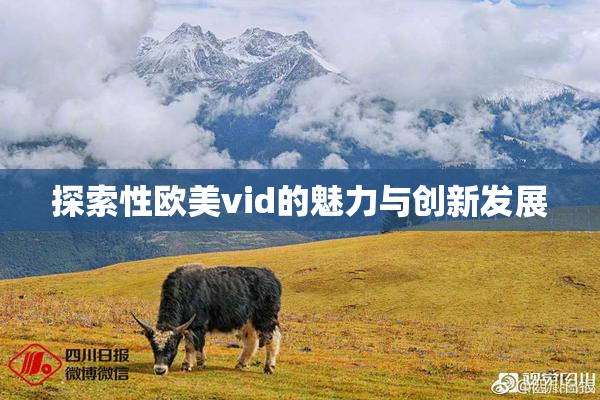 探索性欧美vid的魅力与创新发展
