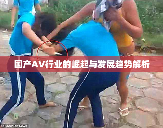 国产AV行业的崛起与发展趋势解析