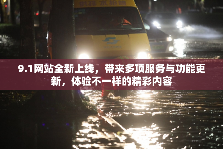 9.1网站全新上线，带来多项服务与功能更新，体验不一样的精彩内容