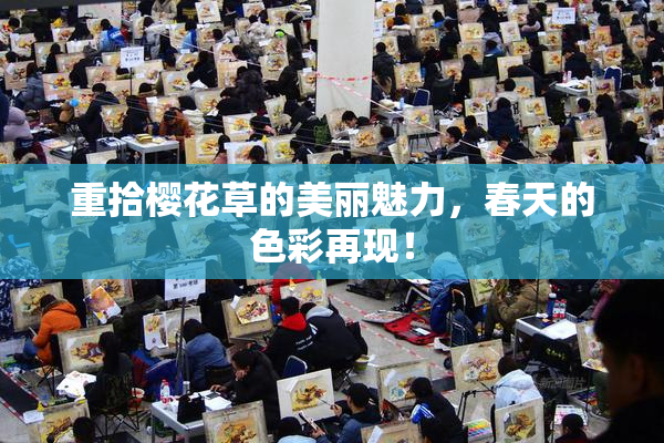 重拾樱花草的美丽魅力，春天的色彩再现！