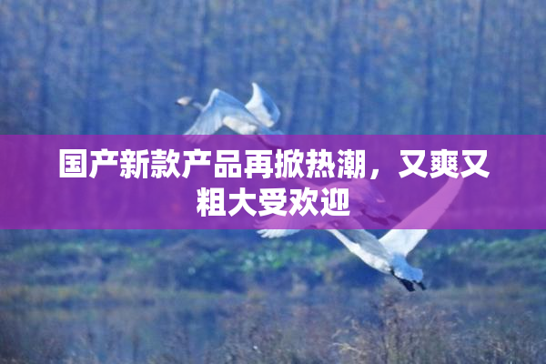 国产新款产品再掀热潮，又爽又粗大受欢迎