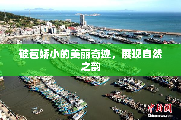 破苞娇小的美丽奇迹，展现自然之韵