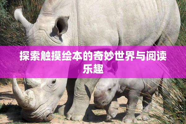 探索触摸绘本的奇妙世界与阅读乐趣