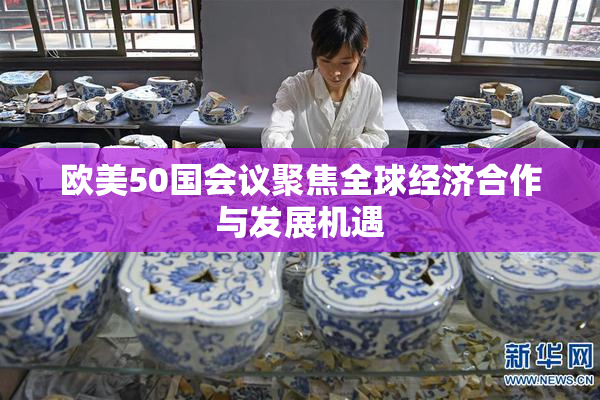 欧美50国会议聚焦全球经济合作与发展机遇