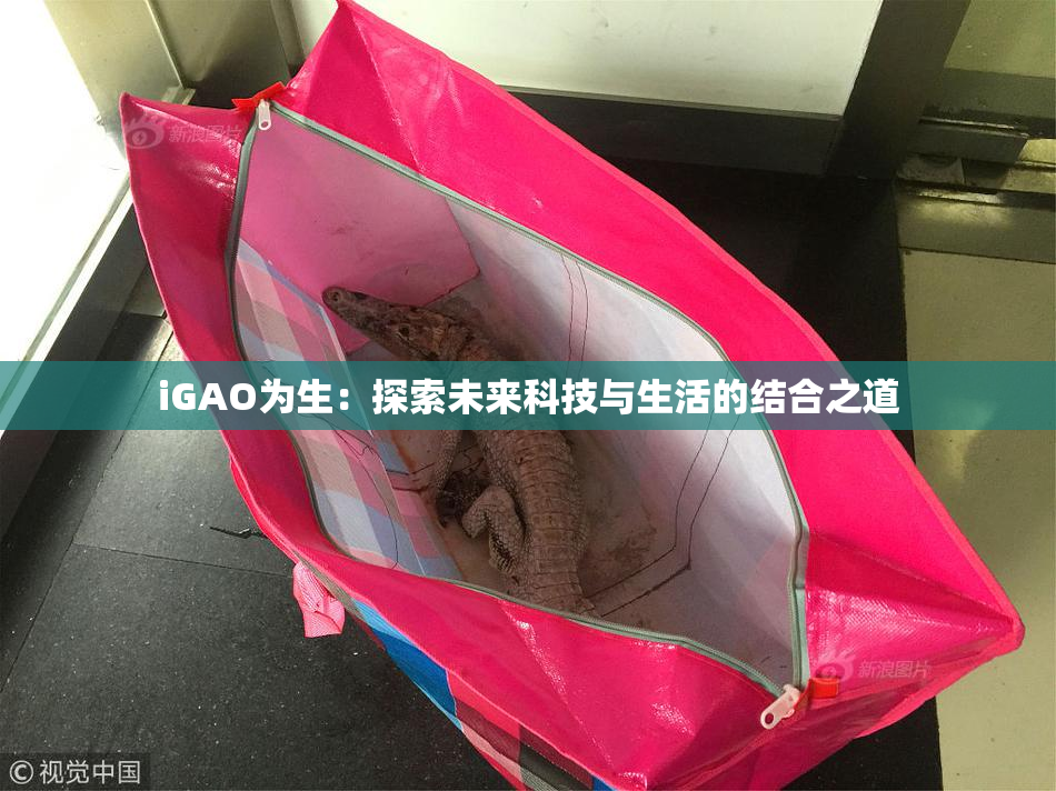 iGAO为生：探索未来科技与生活的结合之道