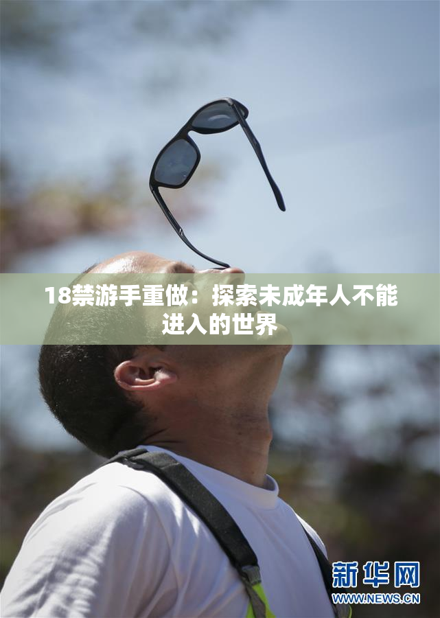 18禁游手重做：探索未成年人不能进入的世界