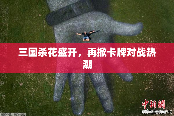 三国杀花盛开，再掀卡牌对战热潮