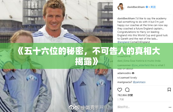 《五十六位的秘密，不可告人的真相大揭露》