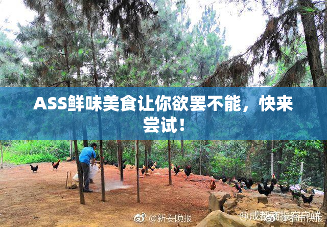 ASS鲜味美食让你欲罢不能，快来尝试！