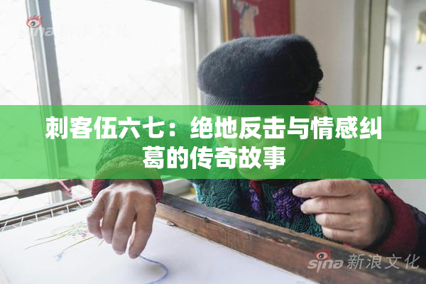 刺客伍六七：绝地反击与情感纠葛的传奇故事