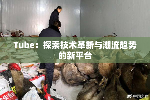 Tube：探索技术革新与潮流趋势的新平台